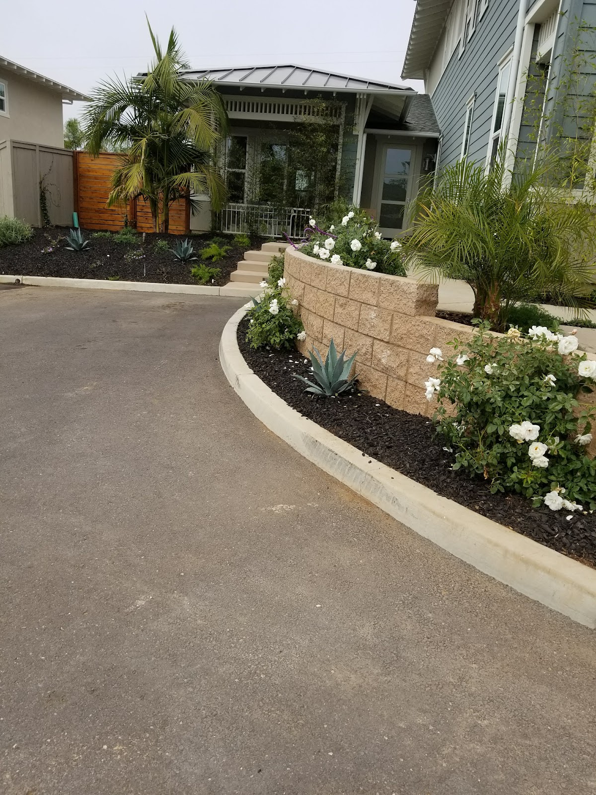 Rose Garden