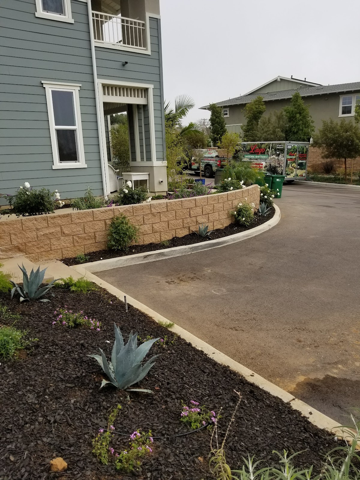 Rose Garden