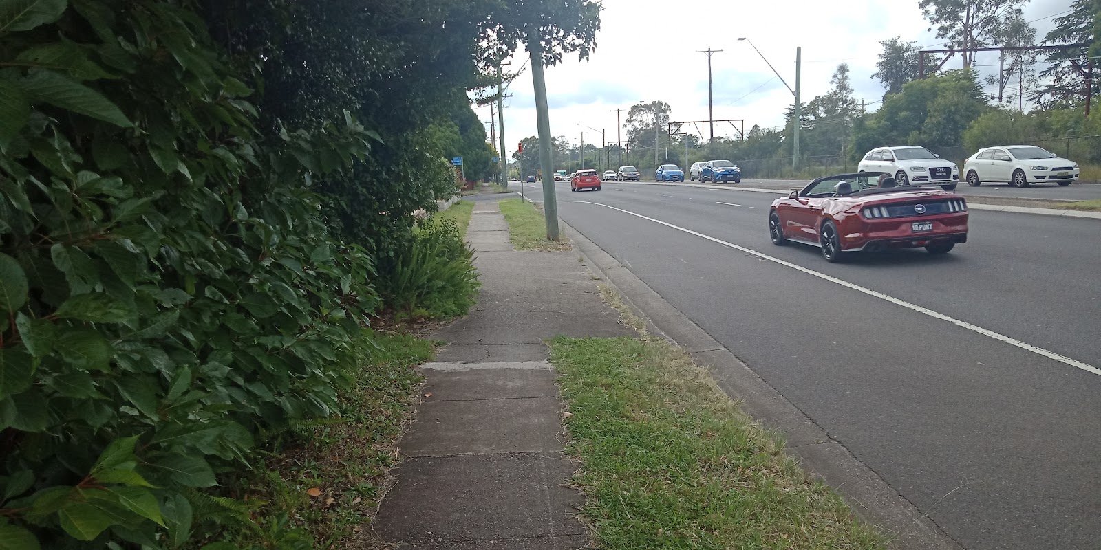 Uniting Springwood
