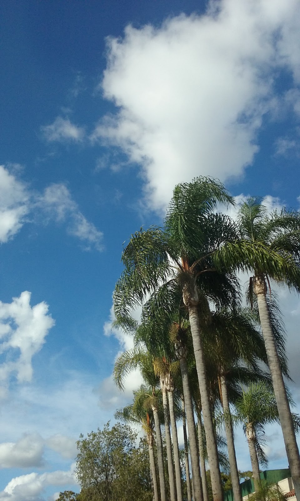 Brookdale Anaheim