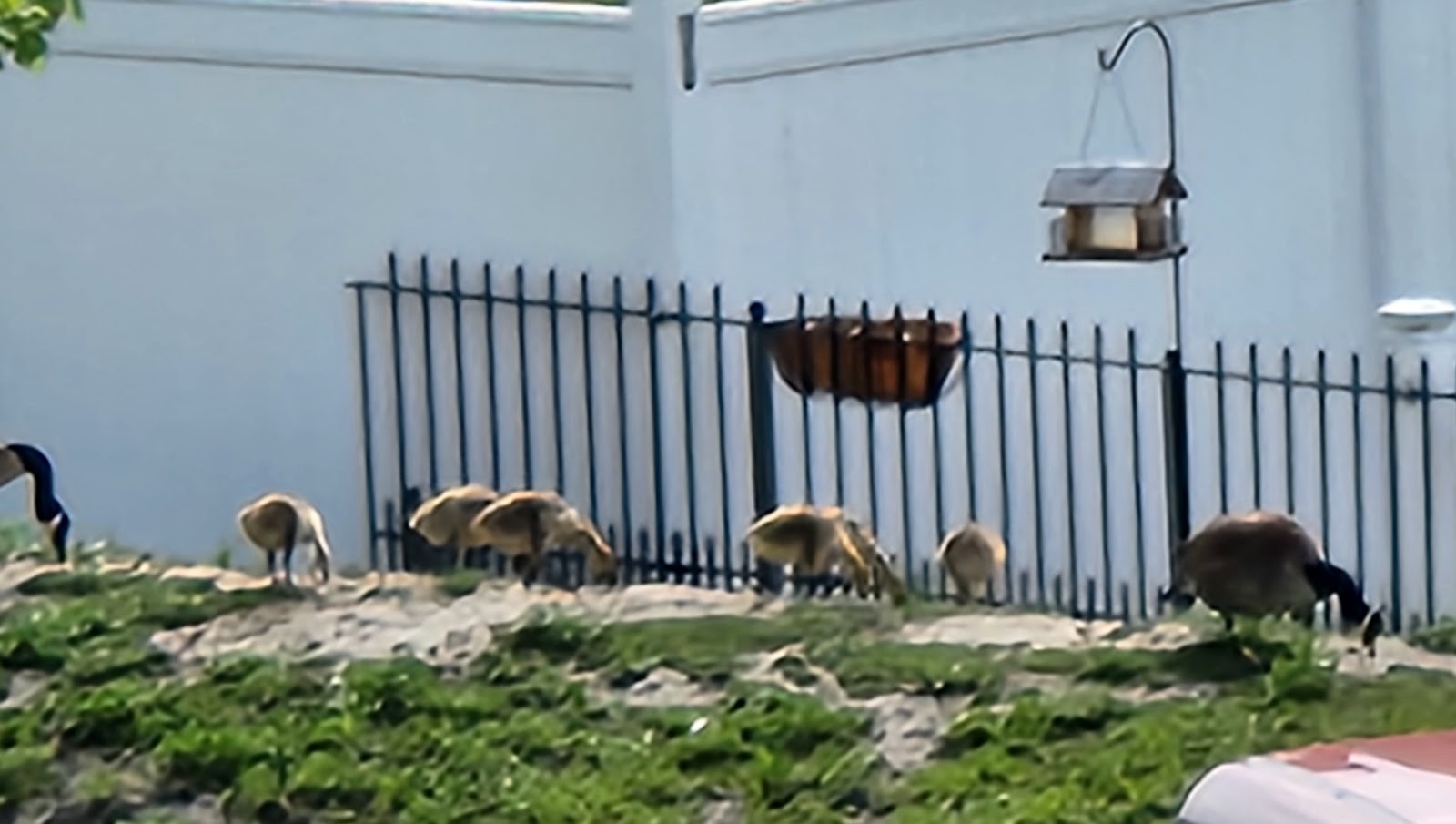 Heisley Park Senior Apartments