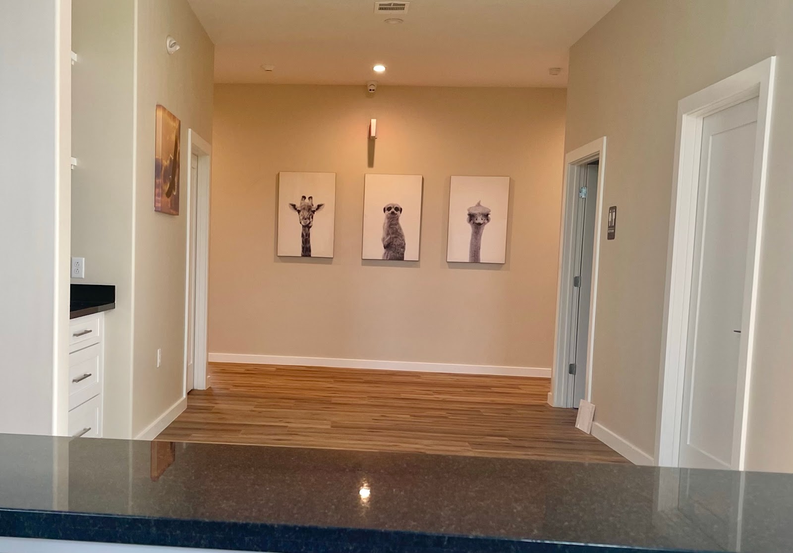 The Woodlands Memory Care & Assisted Living