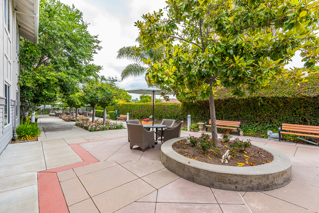 Pacifica Senior Living Union City