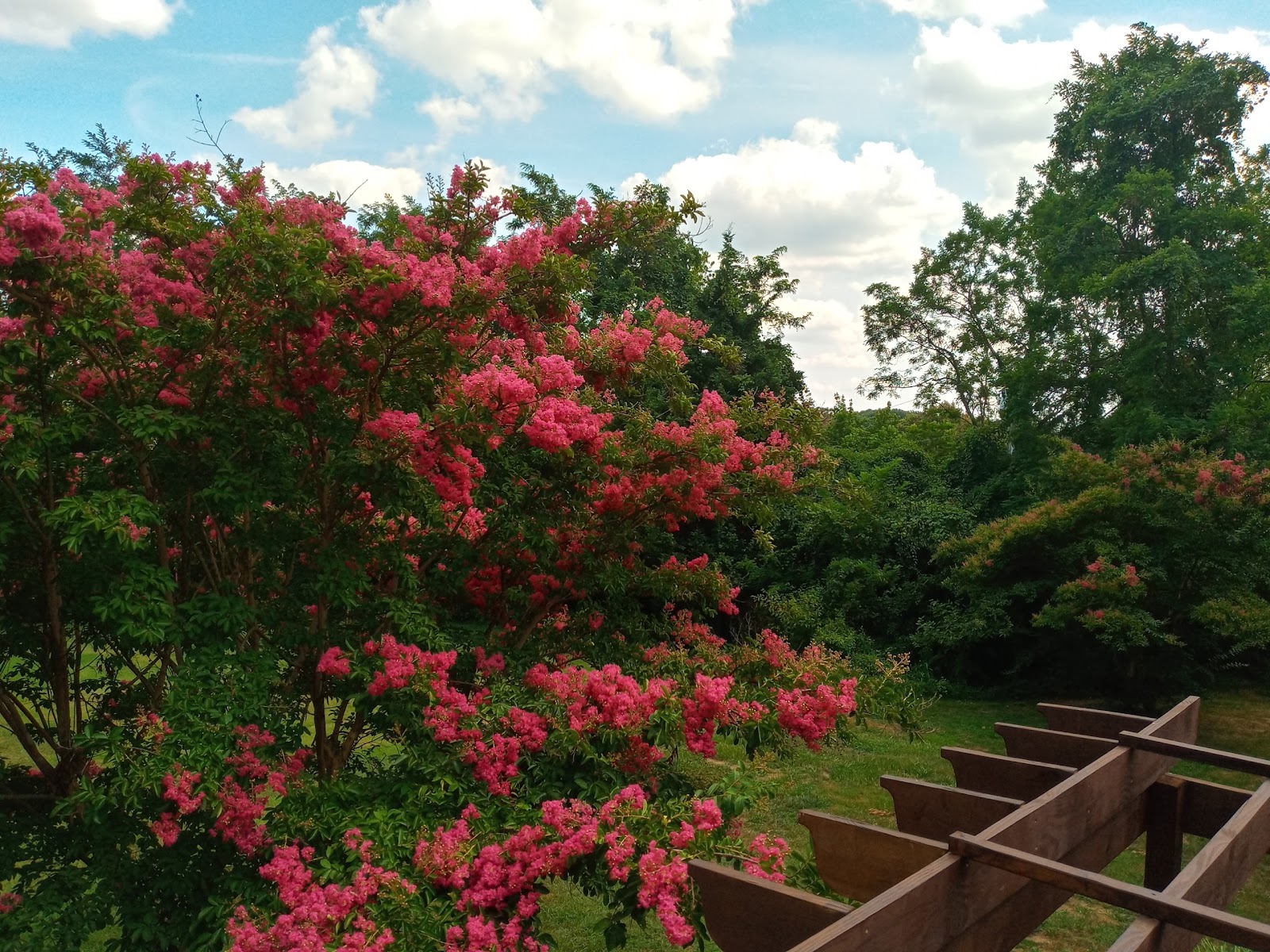 Waterfalls of Catonsville, Memory Care Home