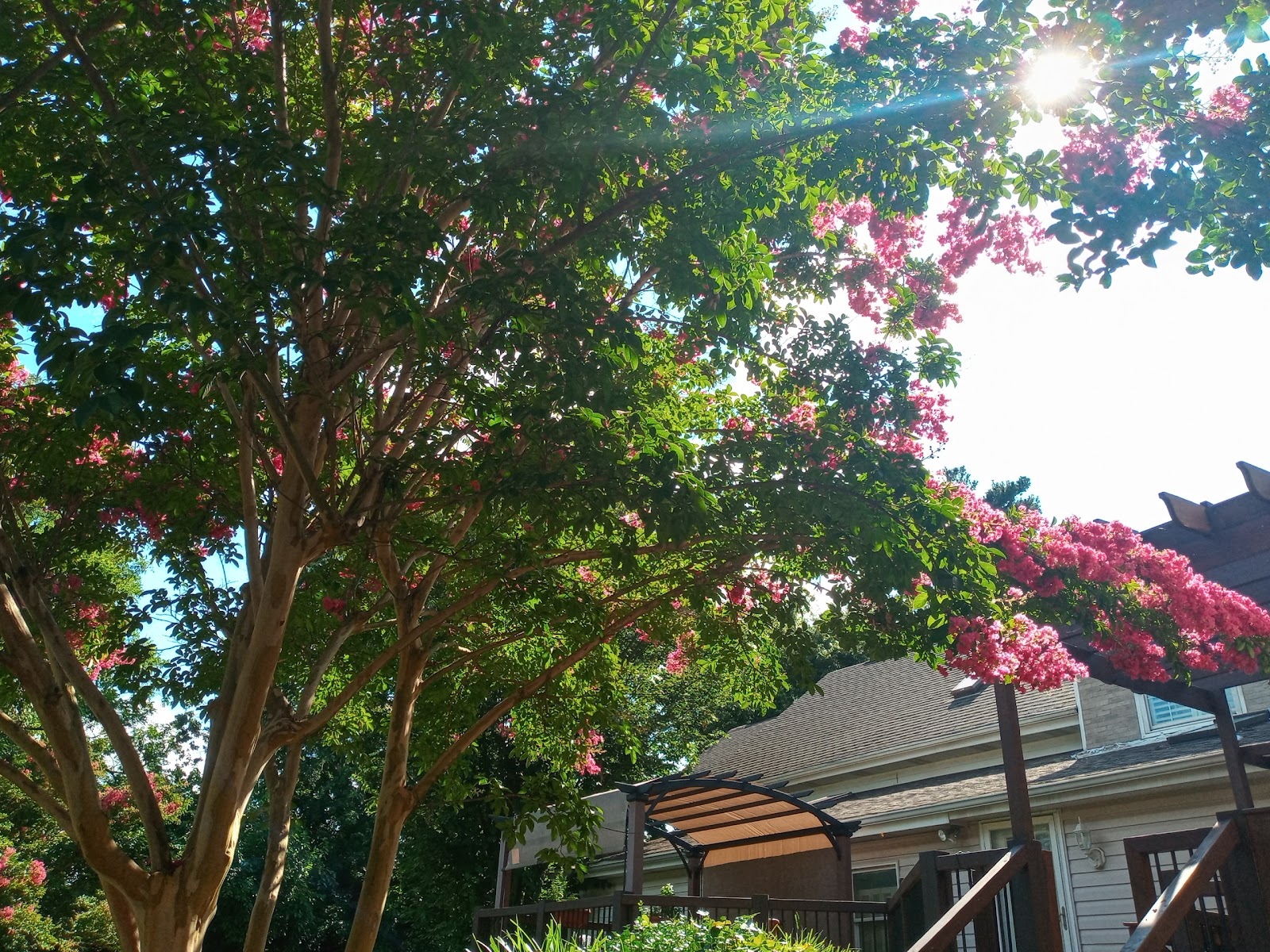 Waterfalls of Catonsville, Memory Care Home