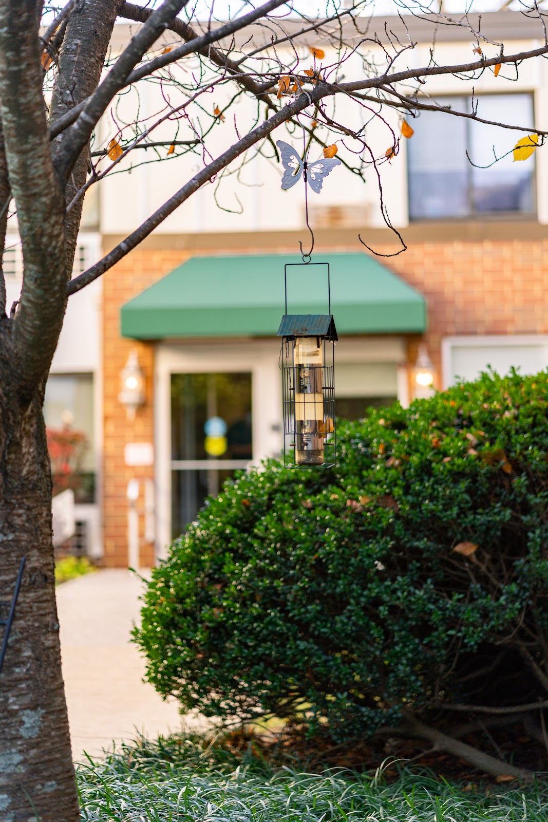 Autumn Lake Healthcare at Catonsville