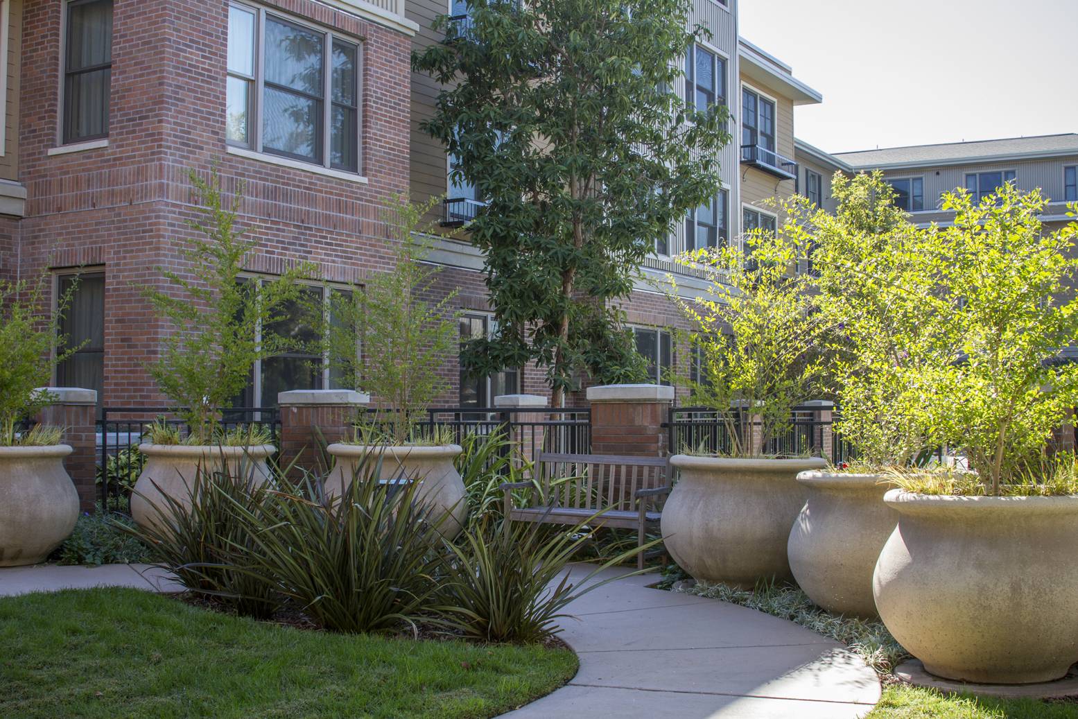 Ivy Park at Palo Alto