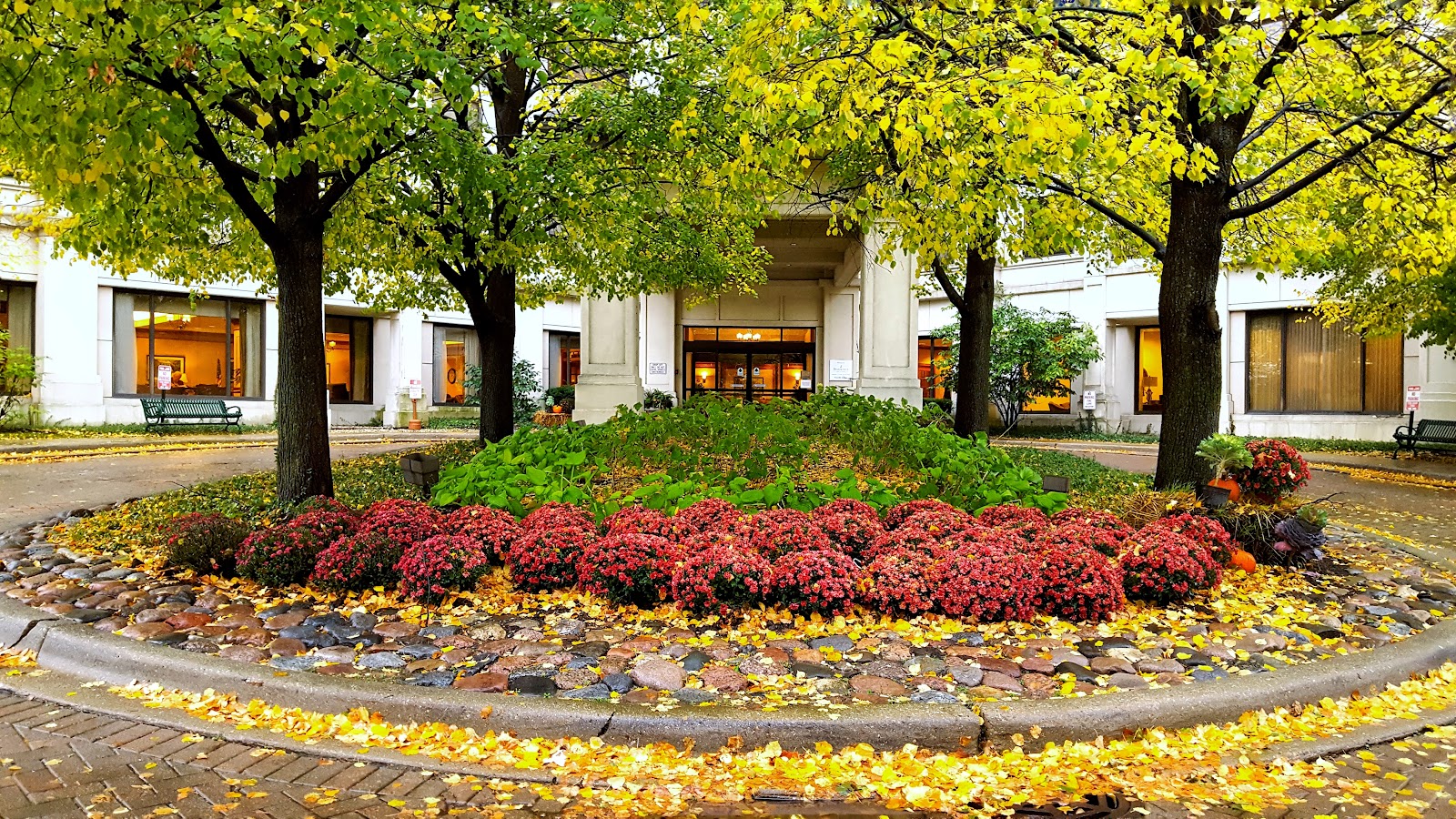 Brookdale Des Plaines