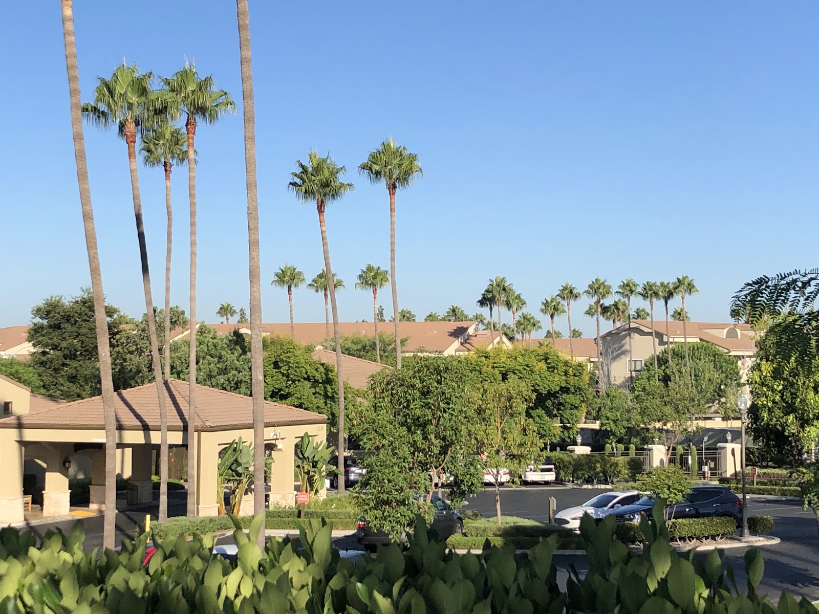 Park Vista Health Center