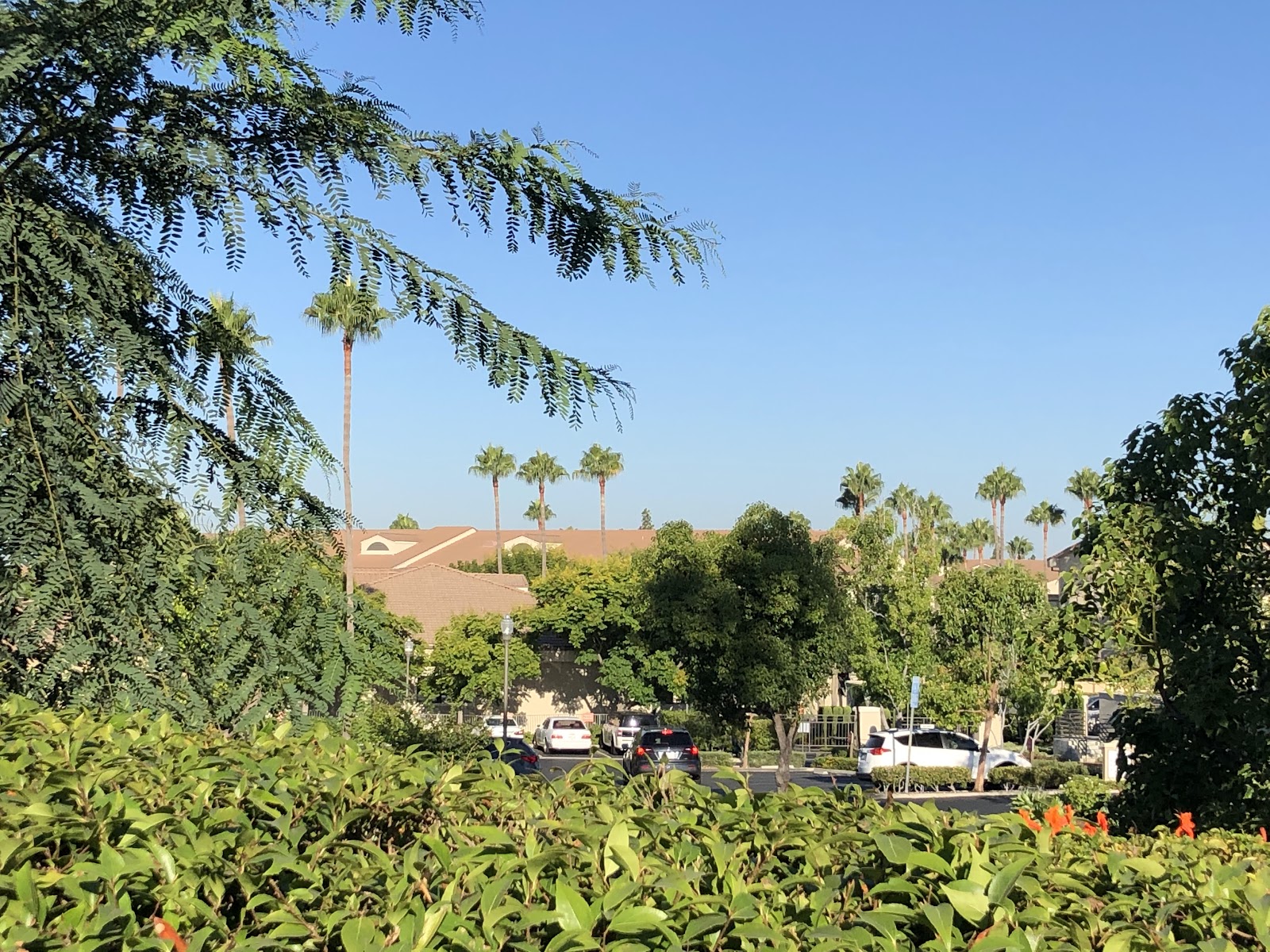 Park Vista Health Center