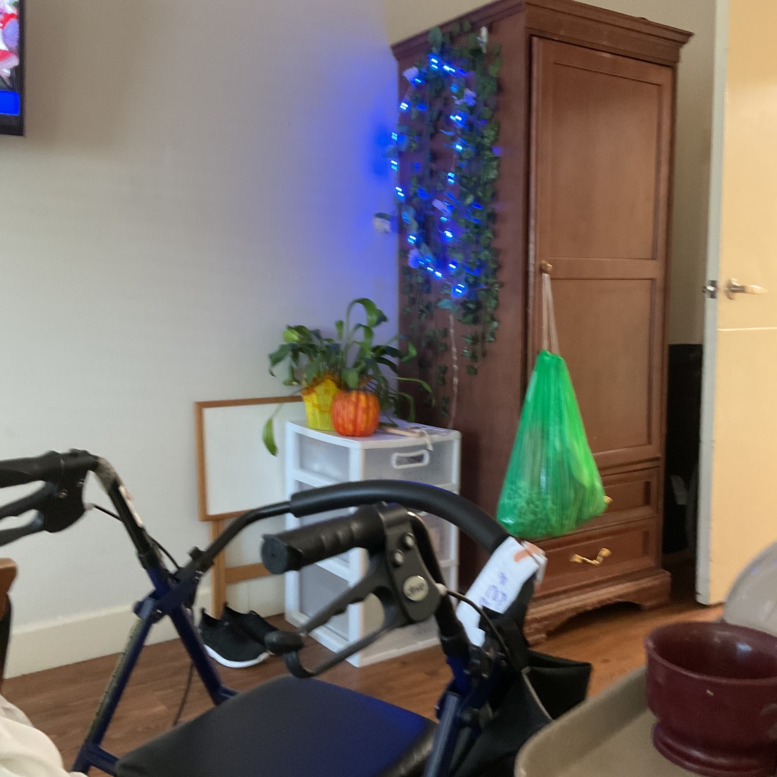 Life Care Center of Altamonte Springs