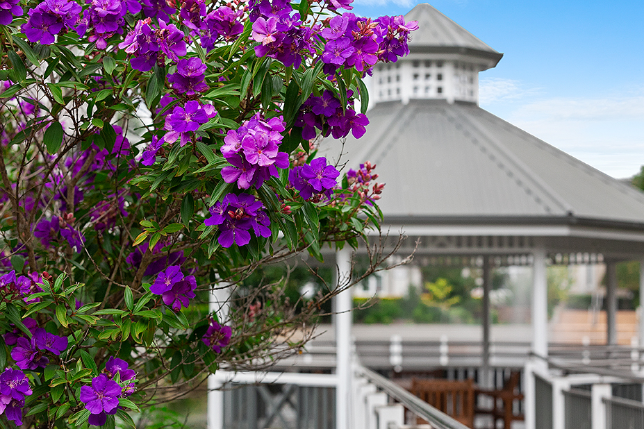 The Landings at North Turramurra