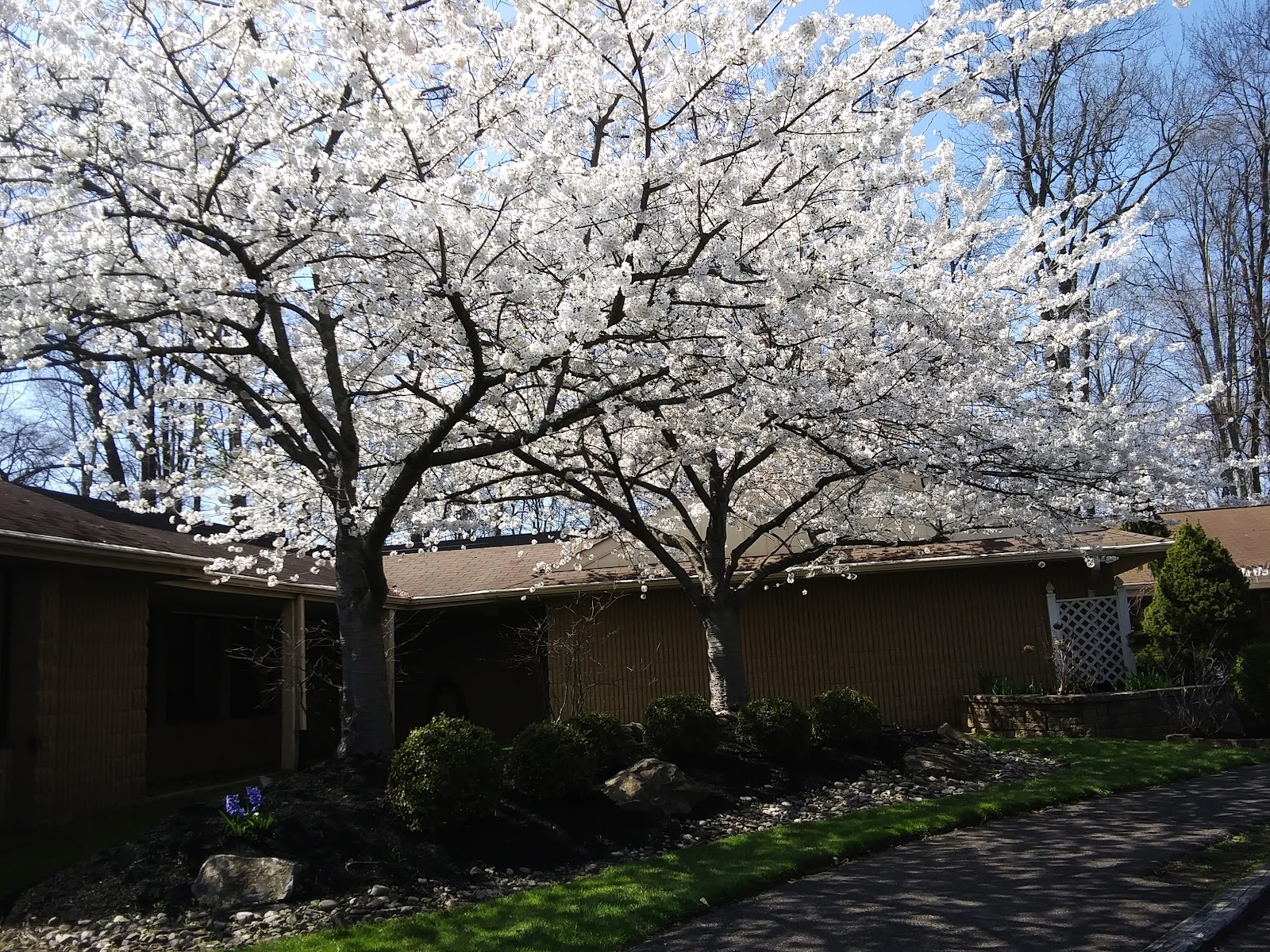 Luther Woods Nursing & Rehabilitation Center