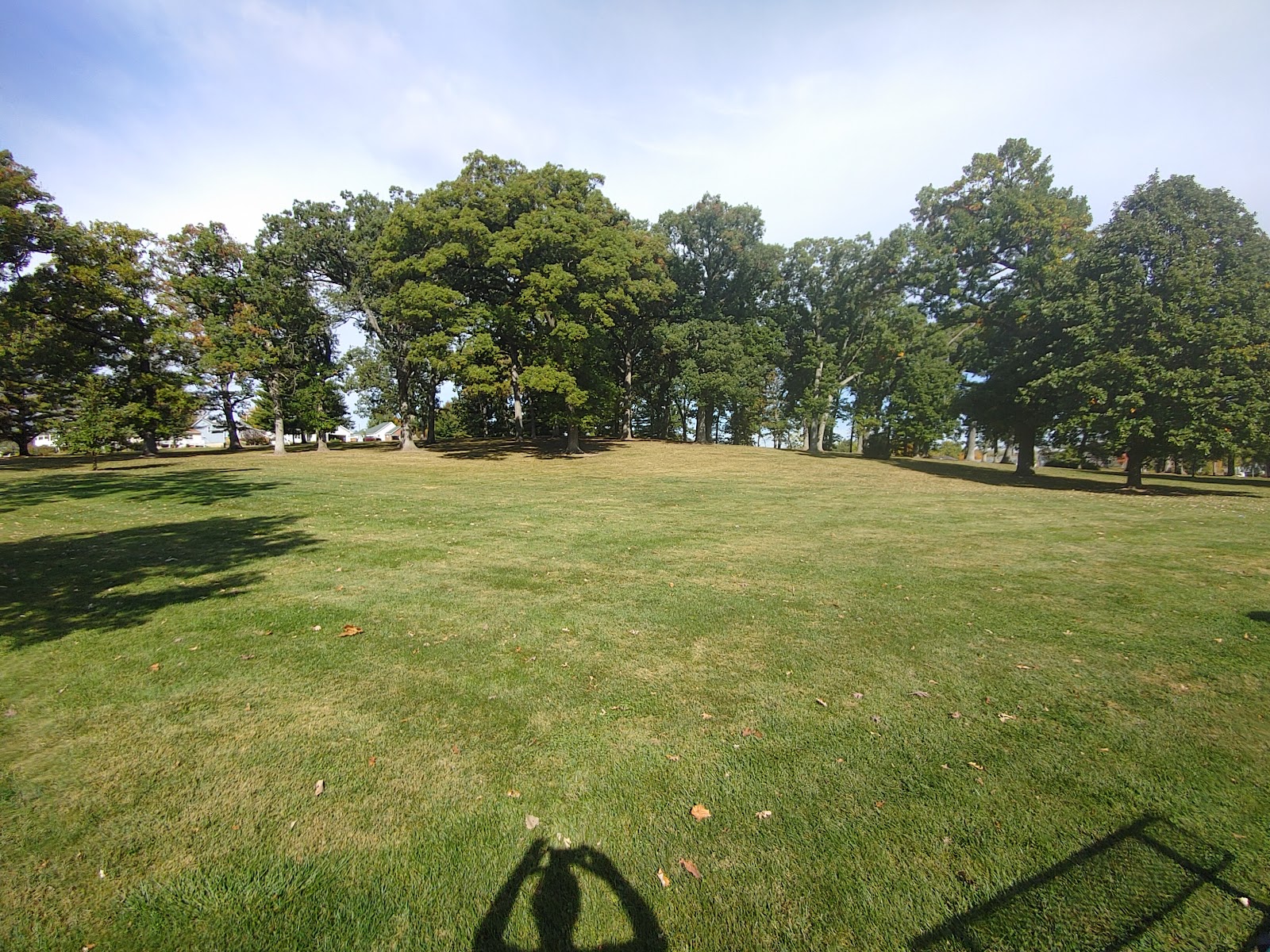 Oak Park Develpment
