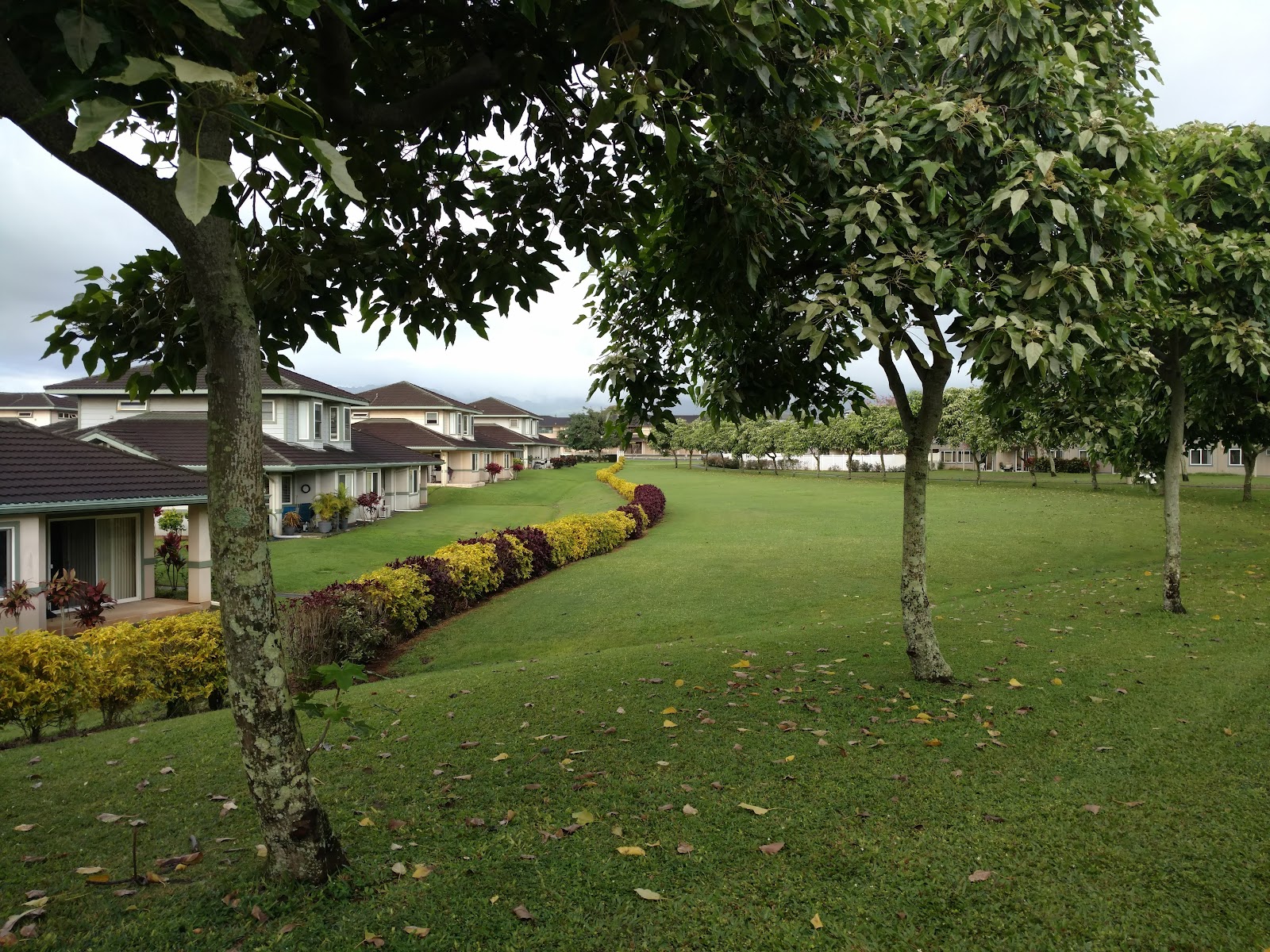Regency at Puakea