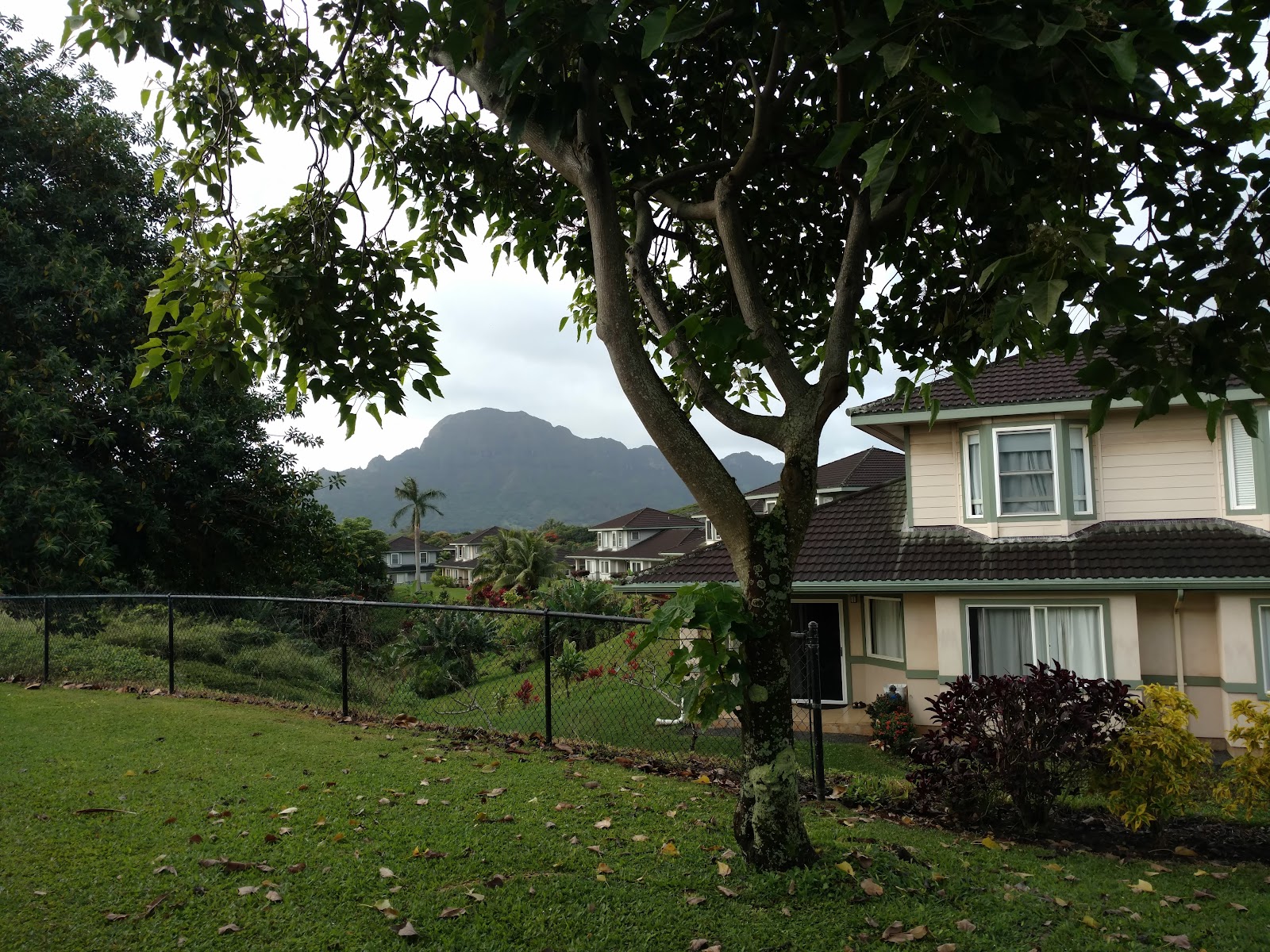 Regency at Puakea