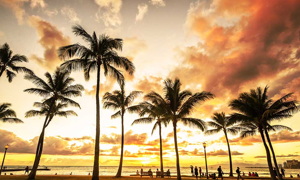 The Care Center of Honolulu