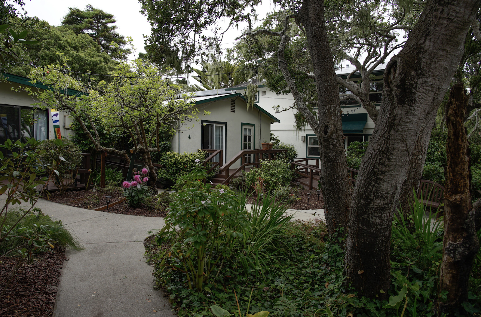 Del Monte Village - Assisted Living & Memory Care - Pacific Grove, Ca