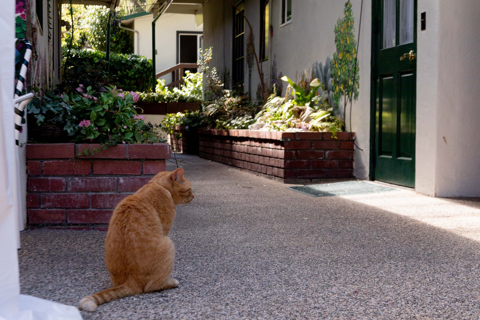 Del Monte Village - Assisted Living & Memory Care - Pacific Grove, Ca