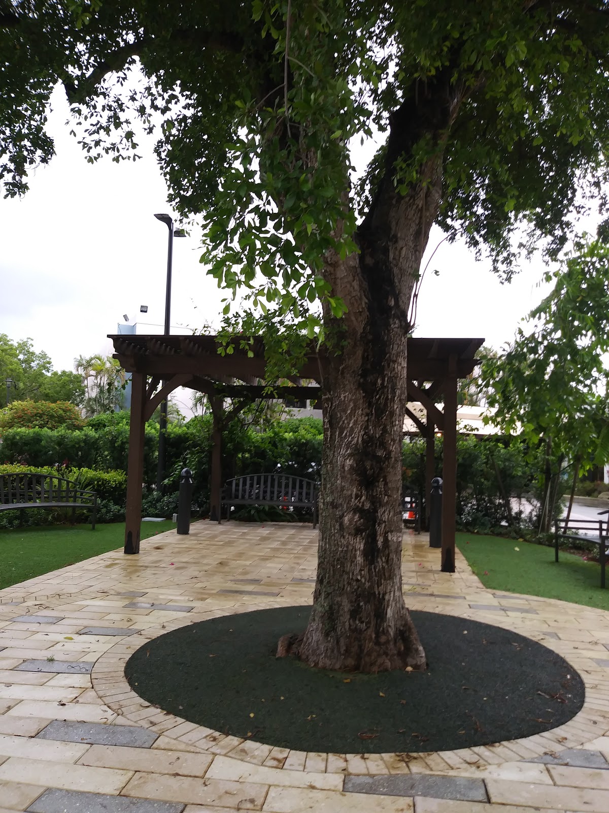 Las Palmas Senior Living