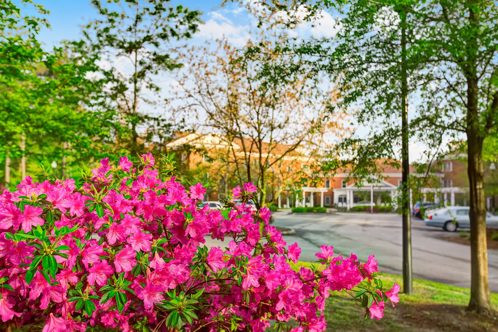 Champions Assisted Living
