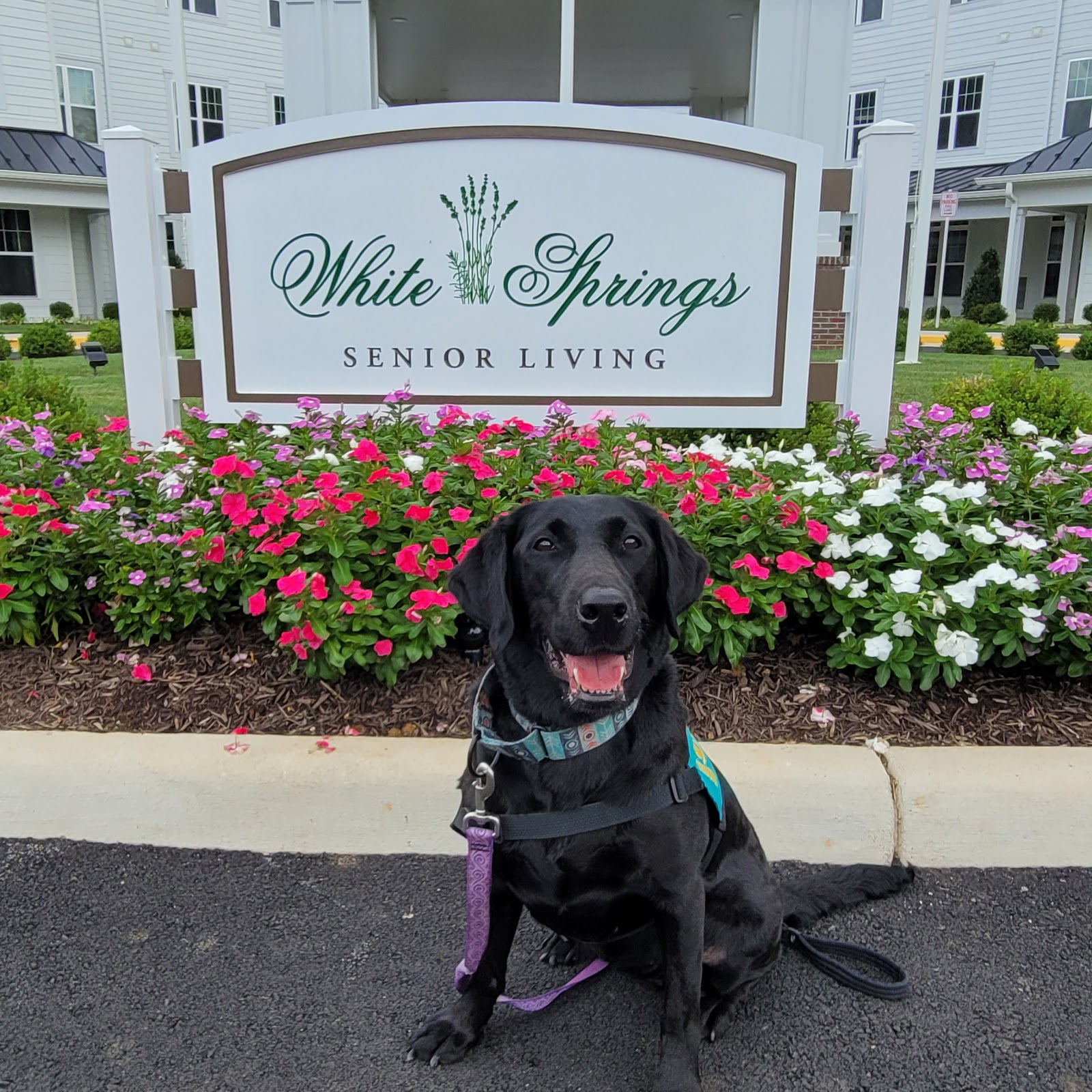 White Springs Senior Living