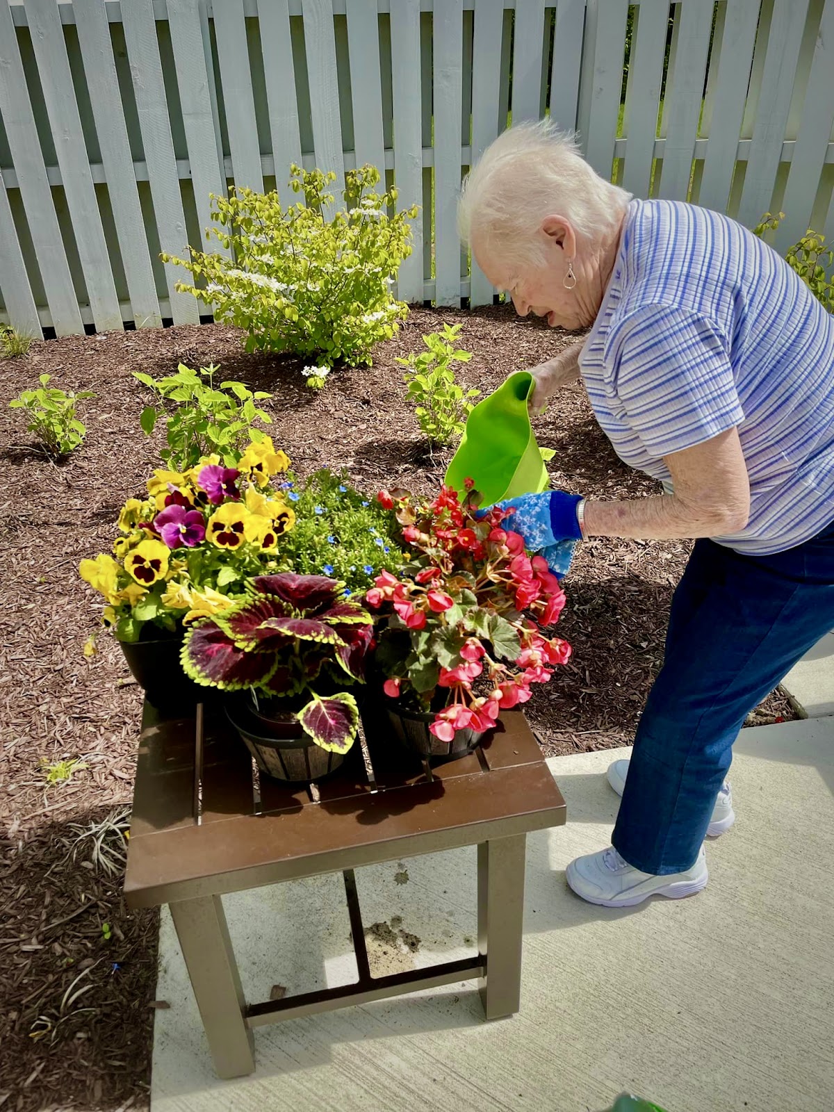White Springs Senior Living