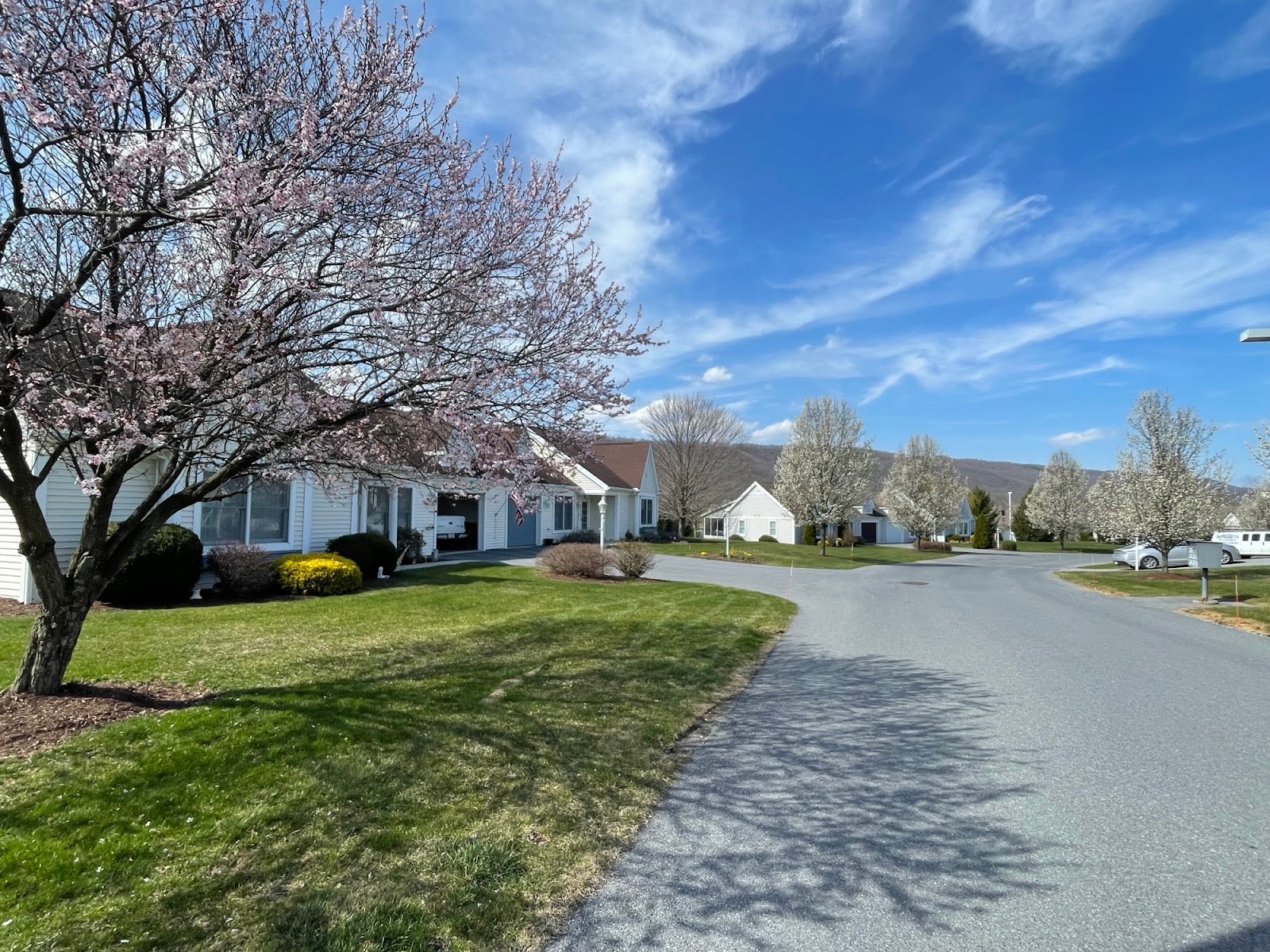 Homewood at Spring House Estates