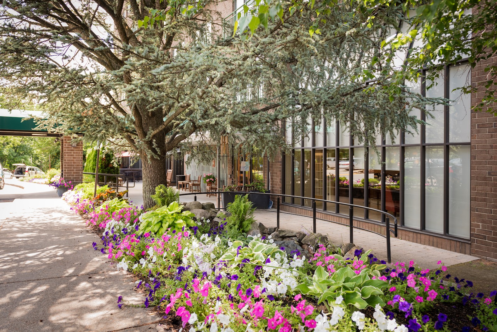 AVIVA Country Club Heights