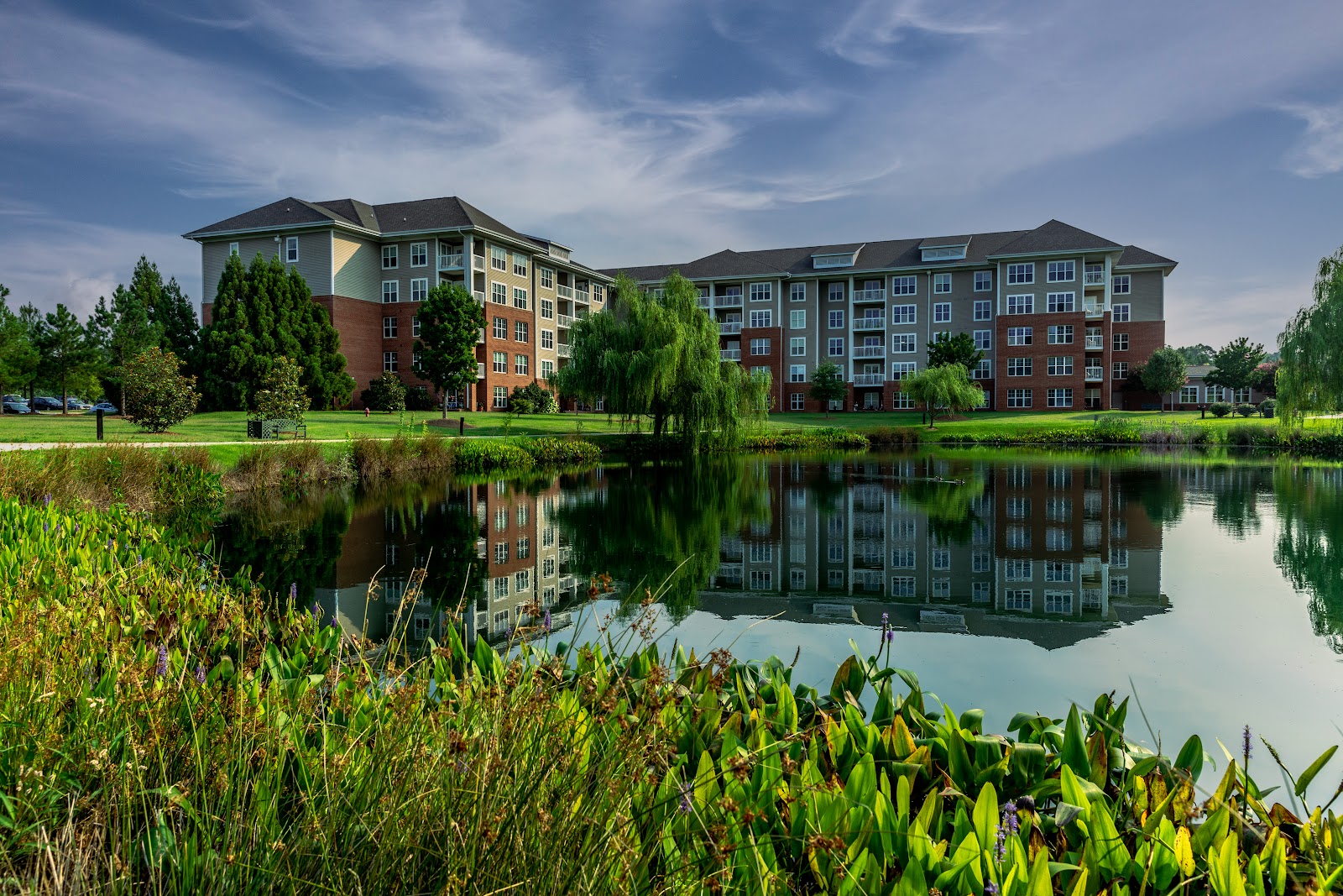 The Village at Brookwood