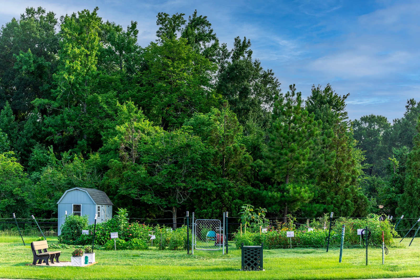 The Village at Brookwood