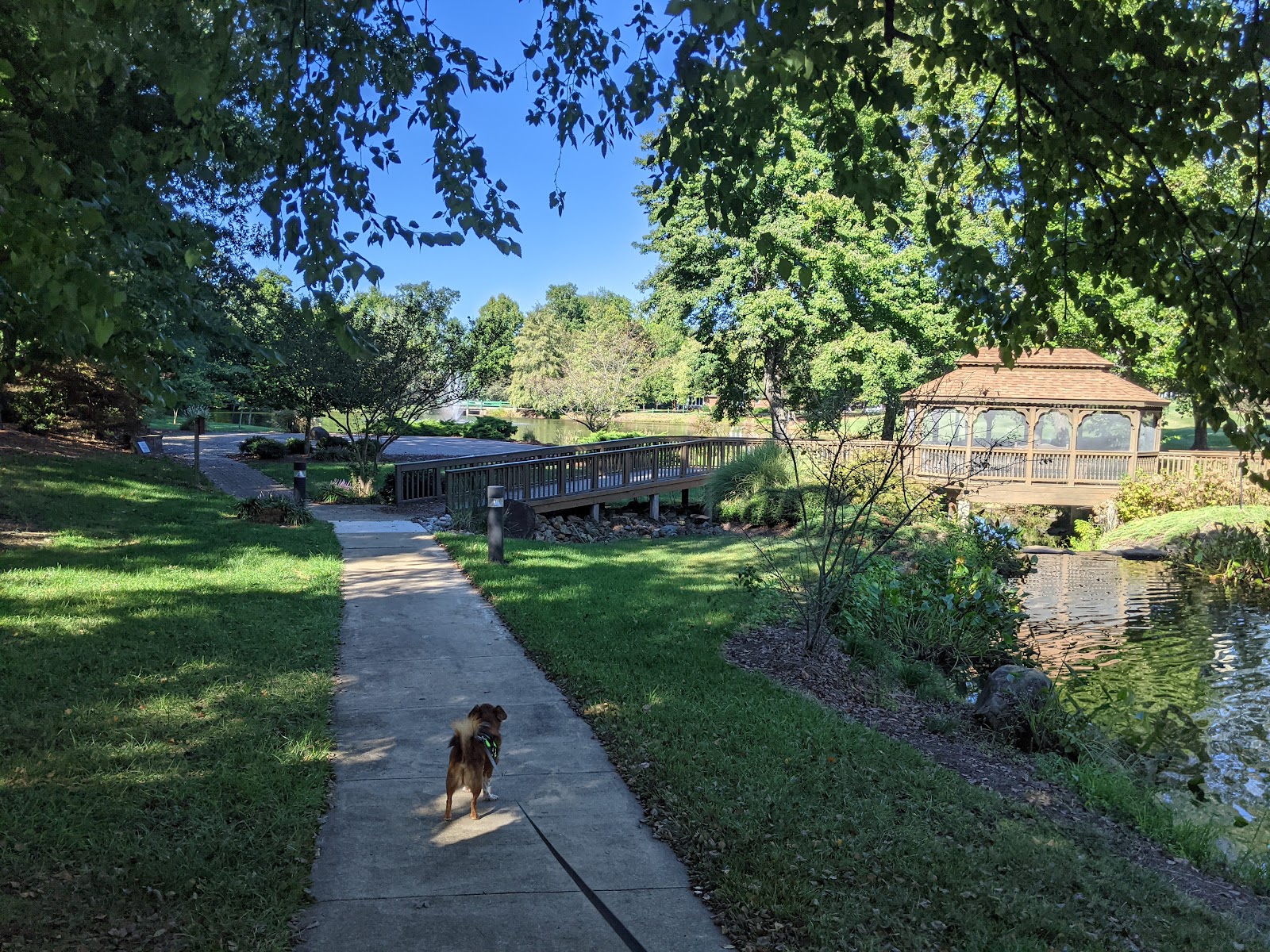 Twin Lakes Community Memory Care
