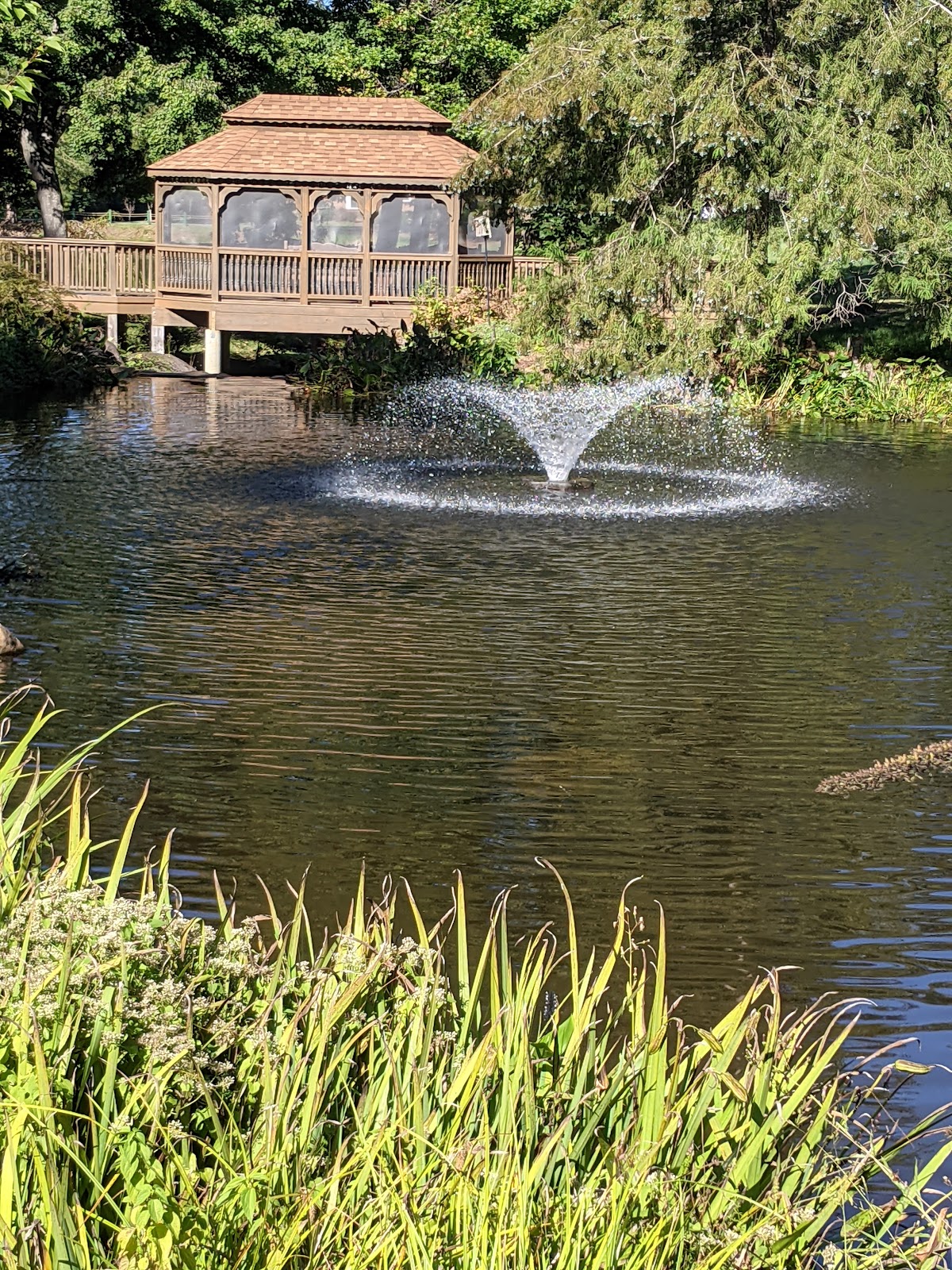 Twin Lakes Community Memory Care