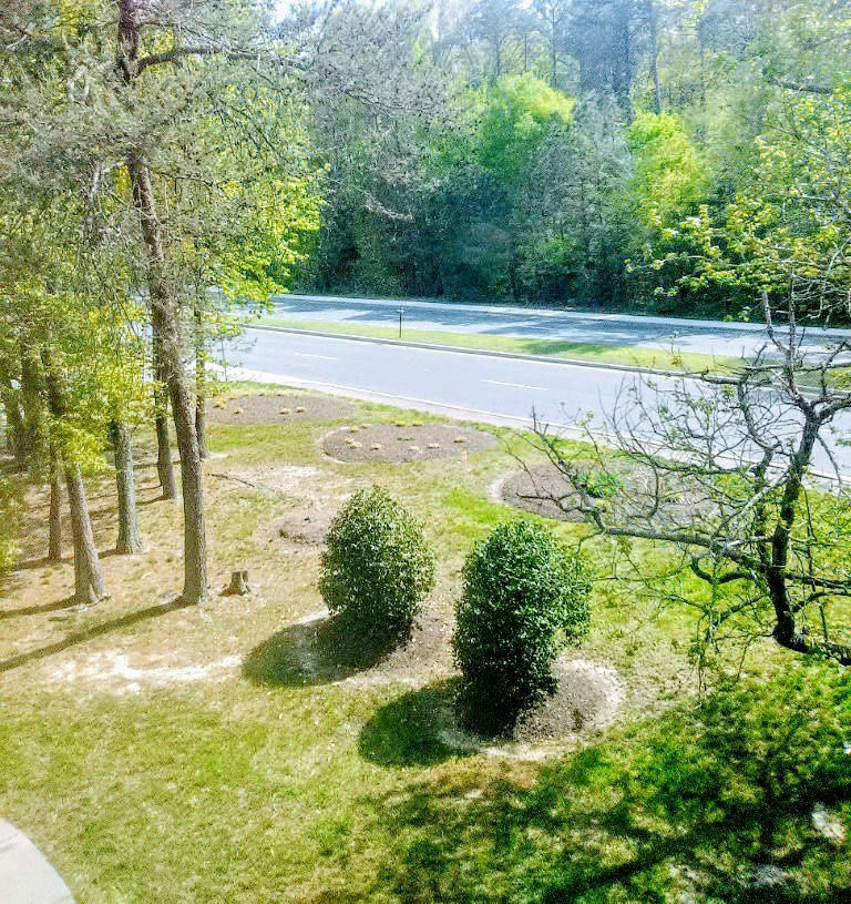 Beth Sholom Senior Living