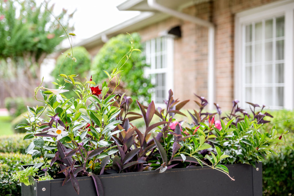 The Reserve at Pasadena Assisted Living and Memory Care