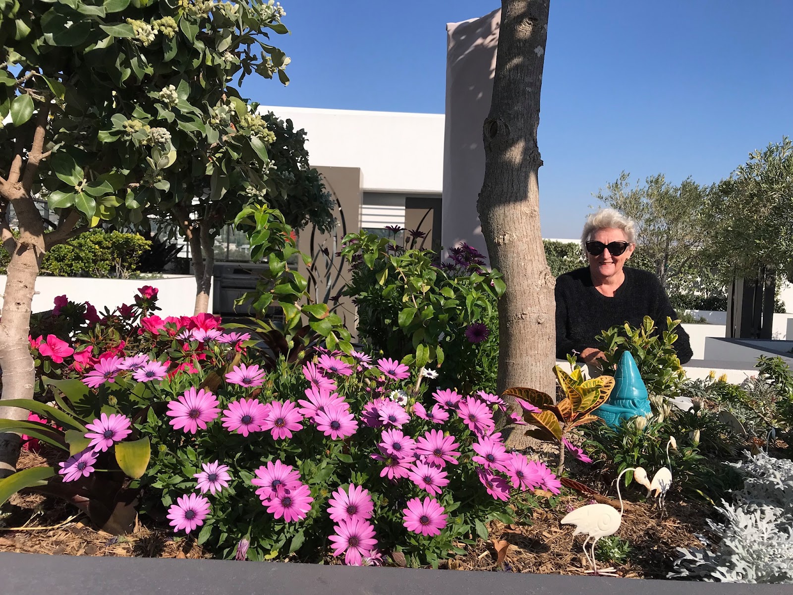 Serene Retirement Living Tweed Heads