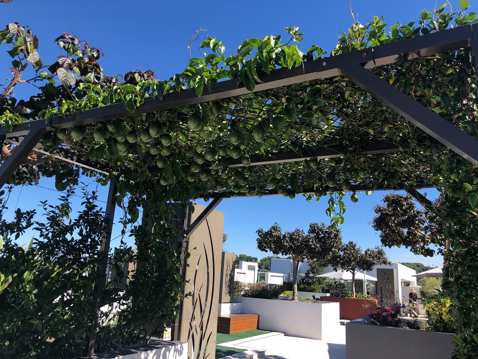 Serene Retirement Living Tweed Heads