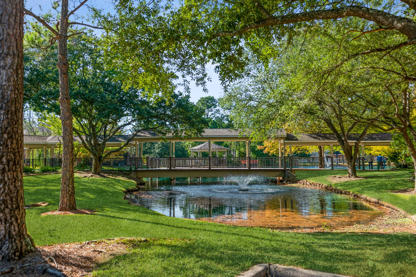 The Forum at The Woodlands