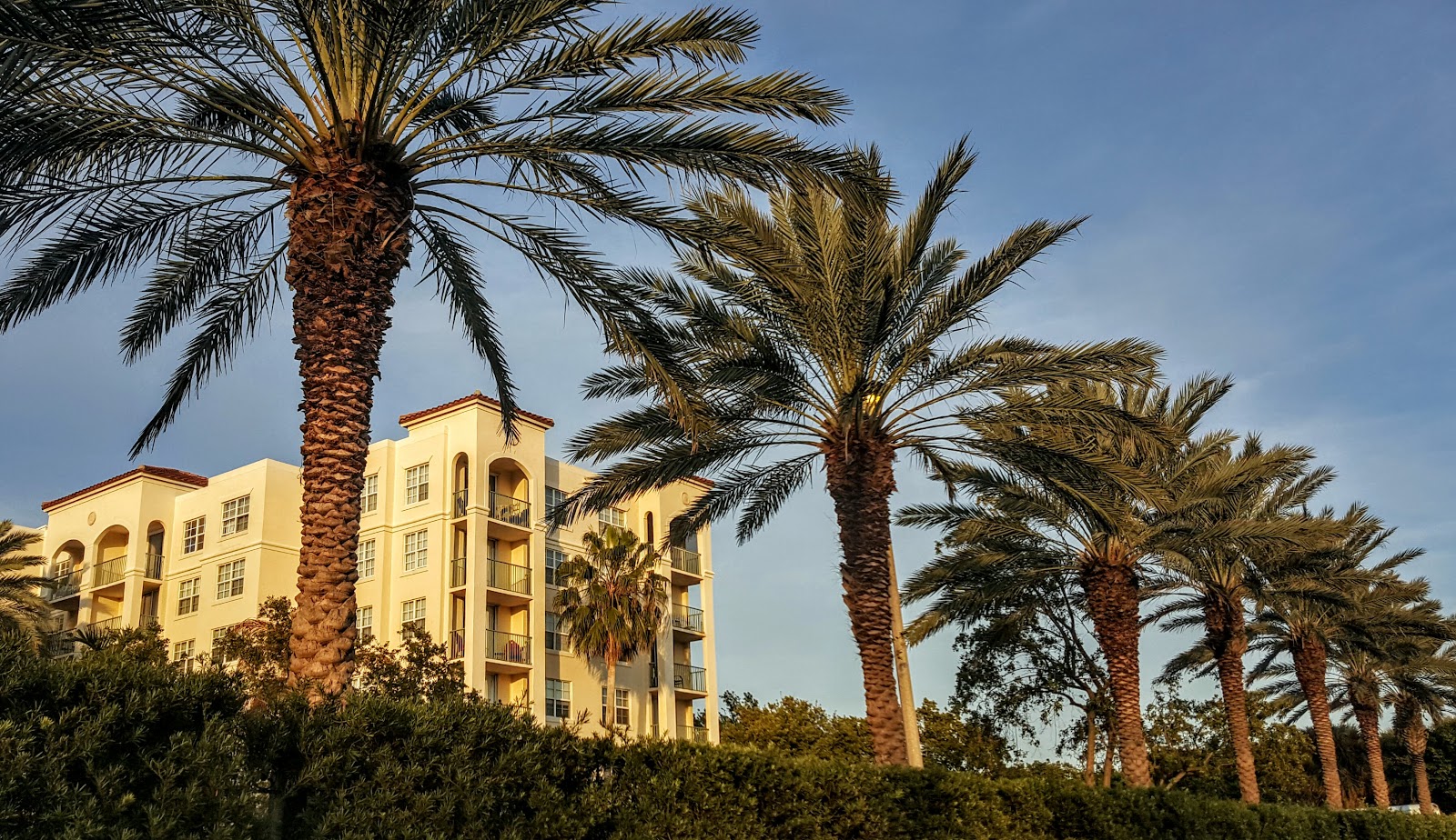 The Residences at The Carlisle Palm Beach