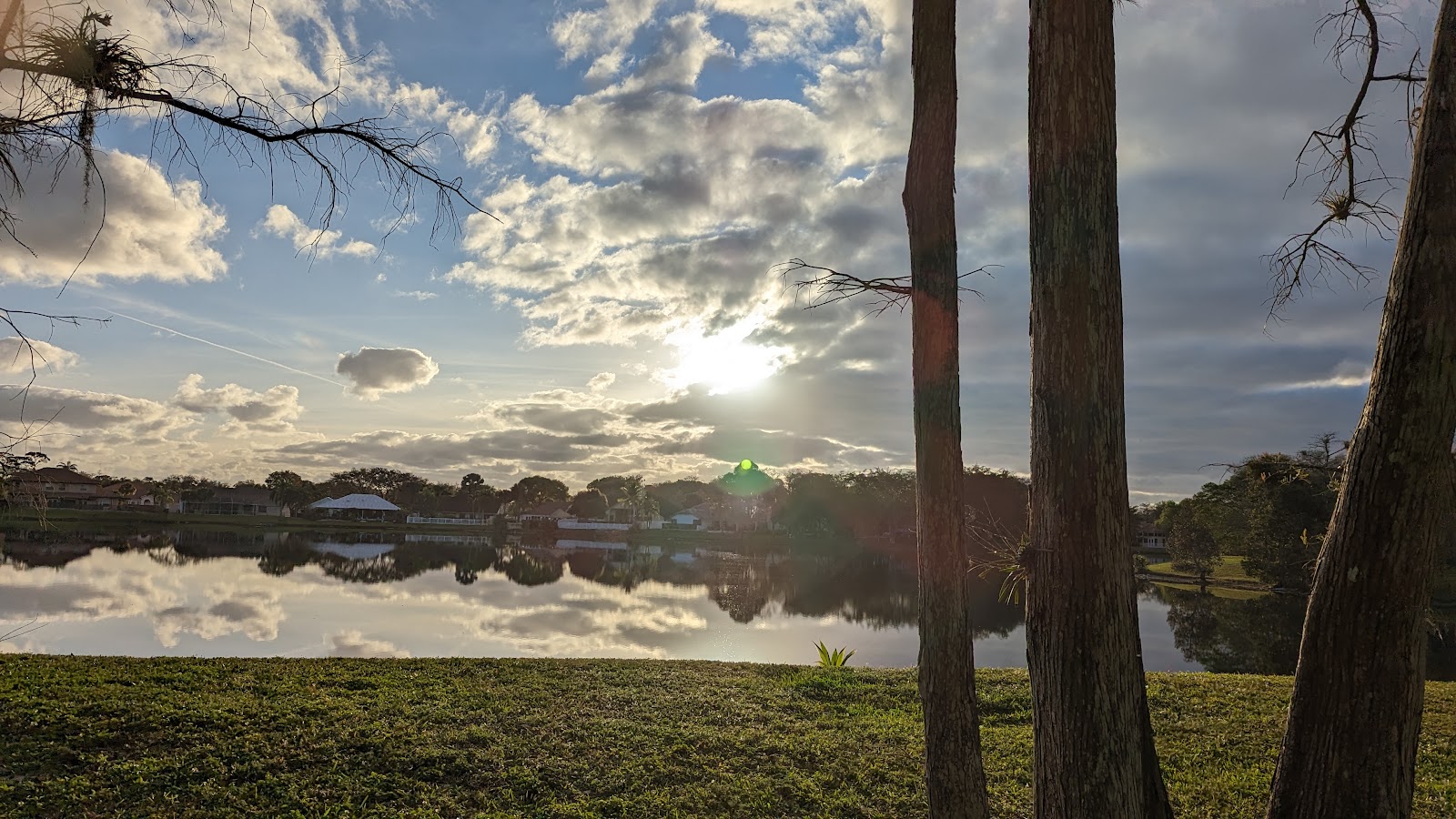 Forest Trace Senior Living