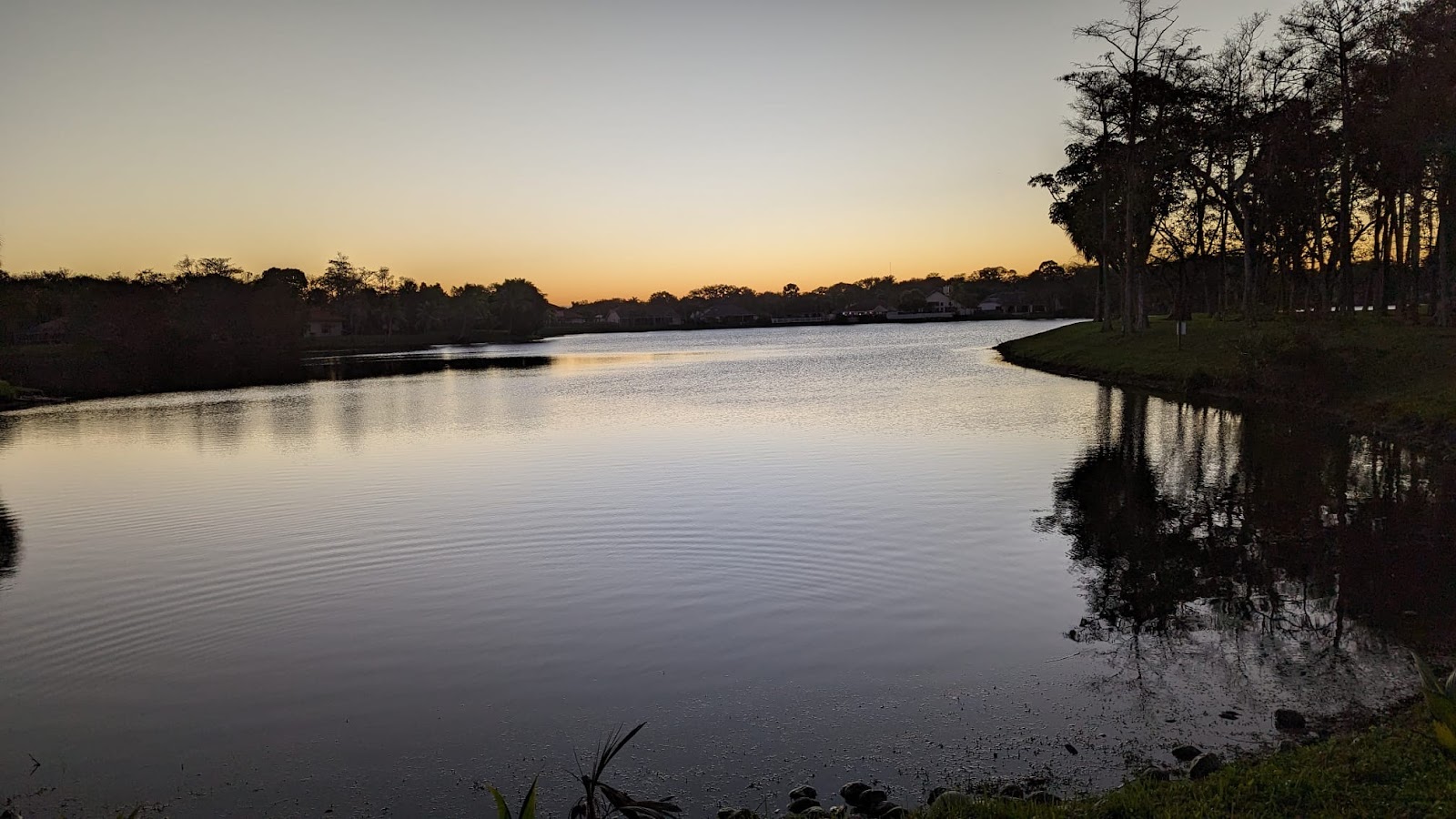 Forest Trace Senior Living