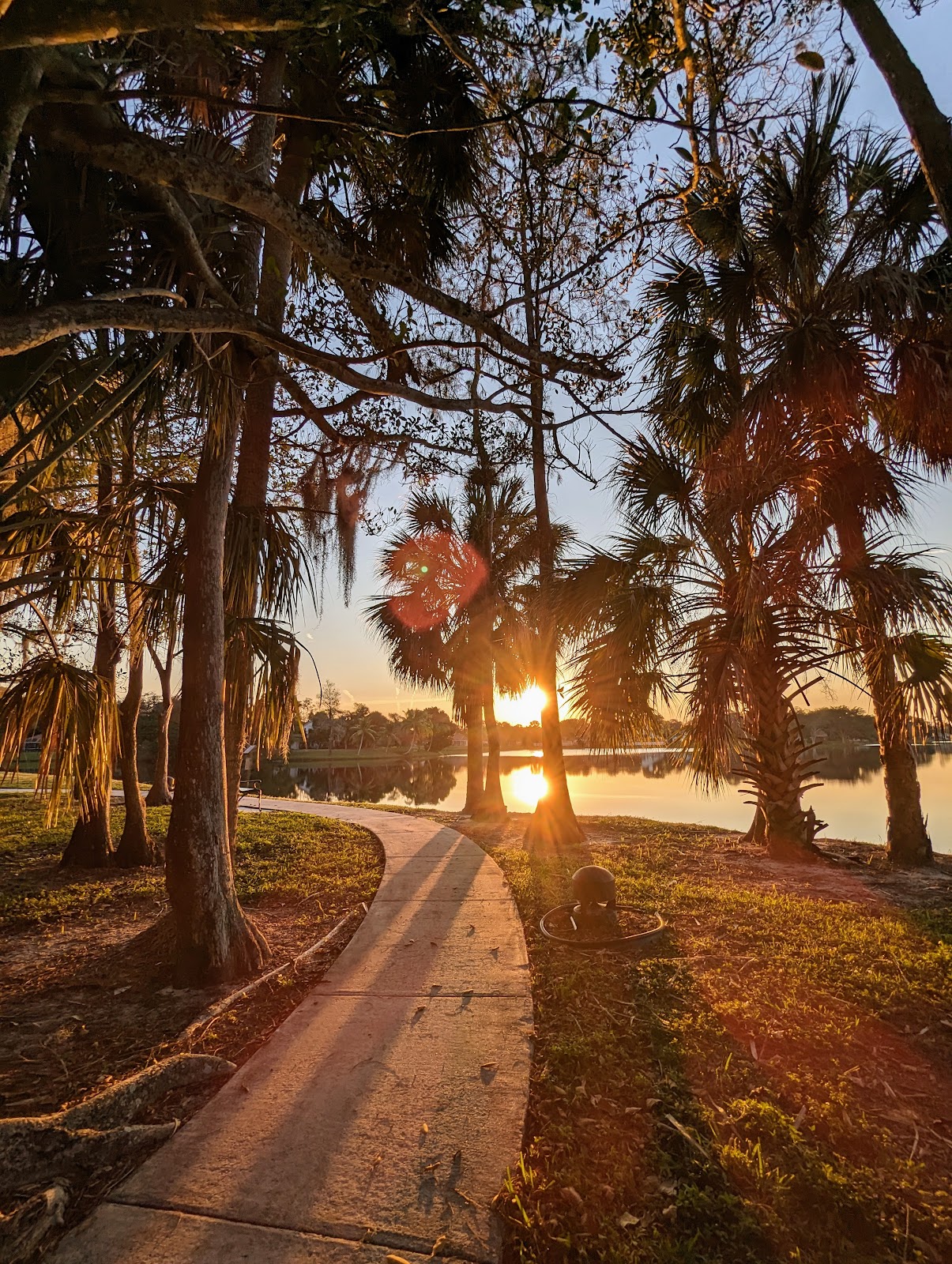 Forest Trace Senior Living