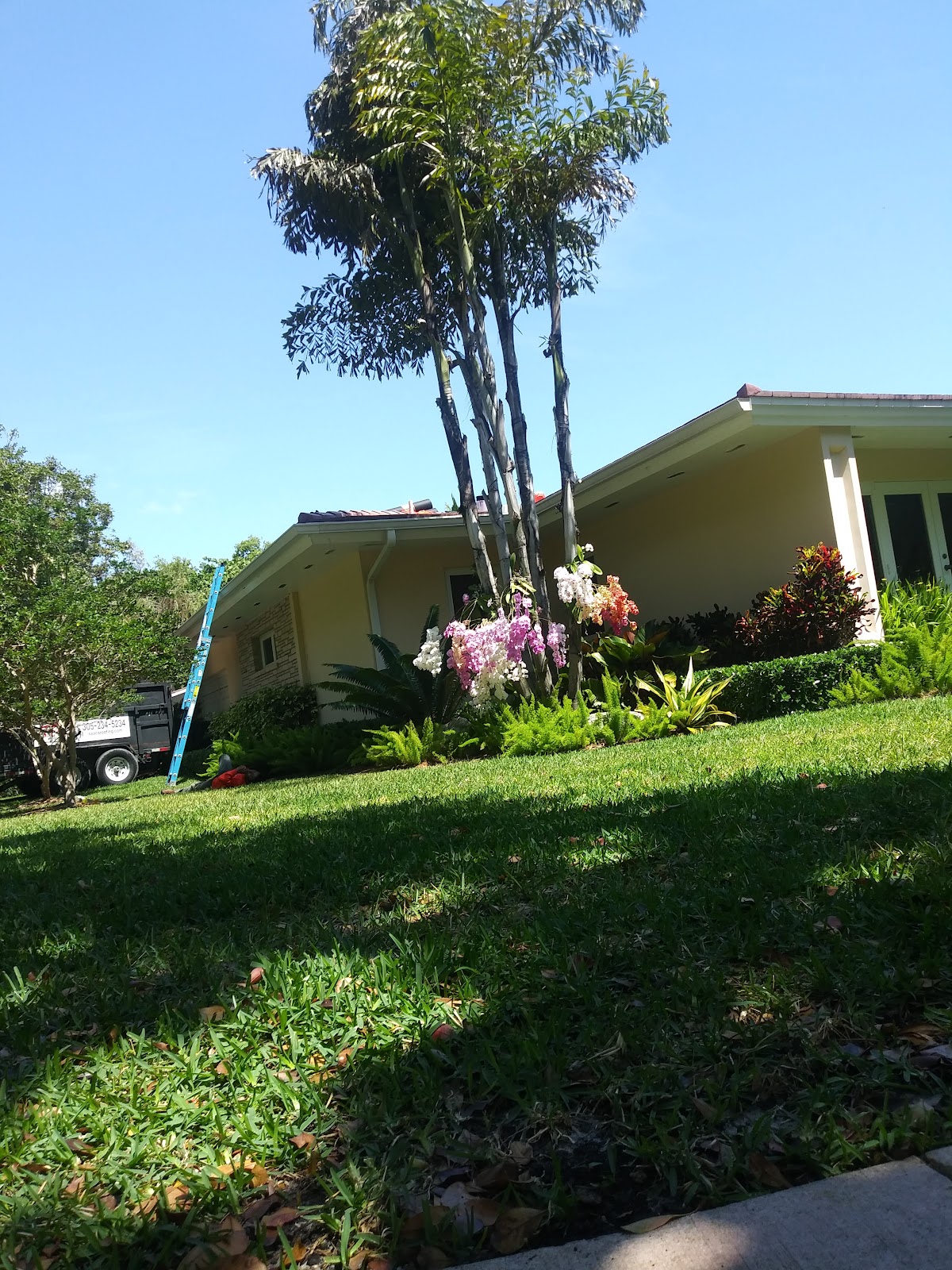 Homestead Manor
