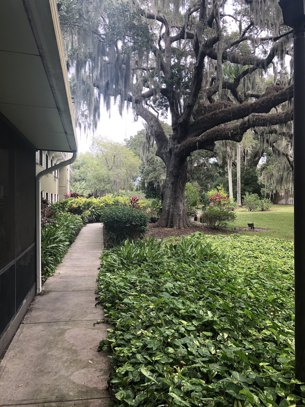 Brookdale Sarasota Midtown