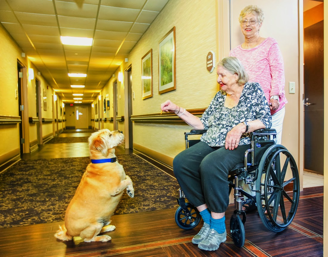Ellisville Rehab and Nursing
