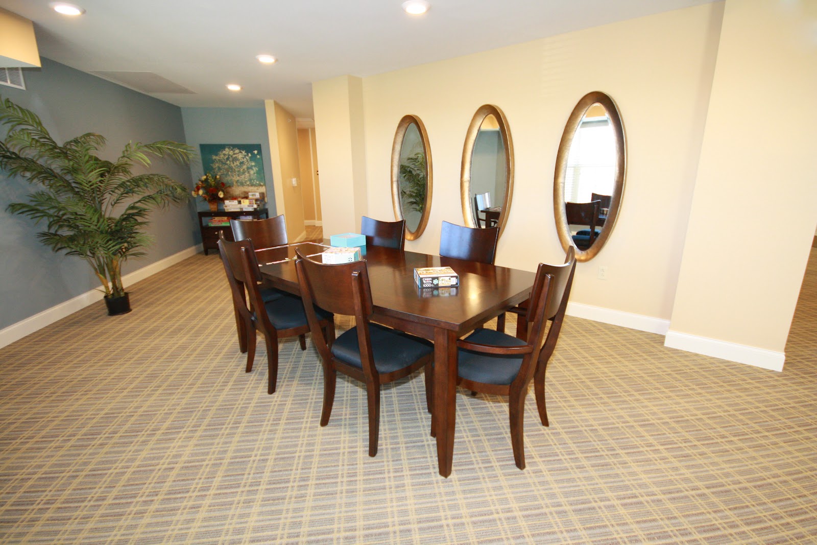 Lake Ridge Senior Living