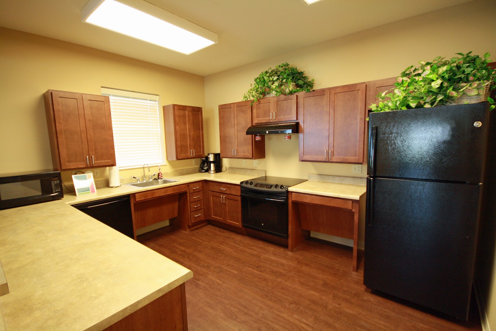 Lake Ridge Senior Living