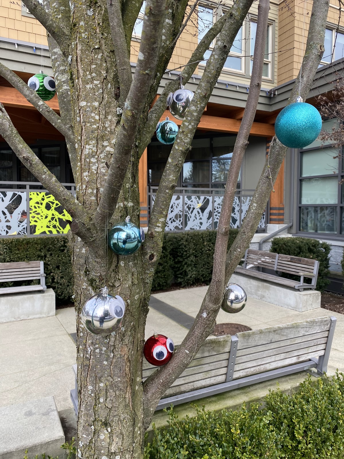 Amica Edgemont Village