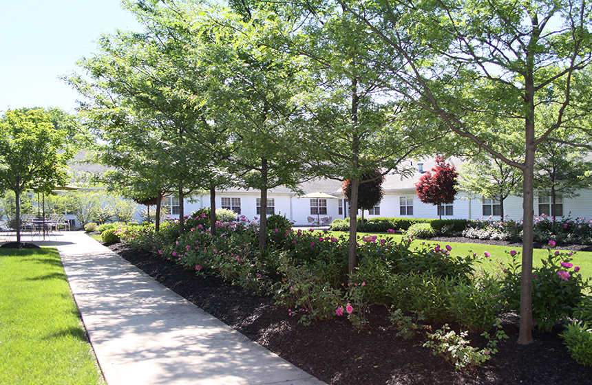 Northfield Village Skilled Nursing & Rehabilitation