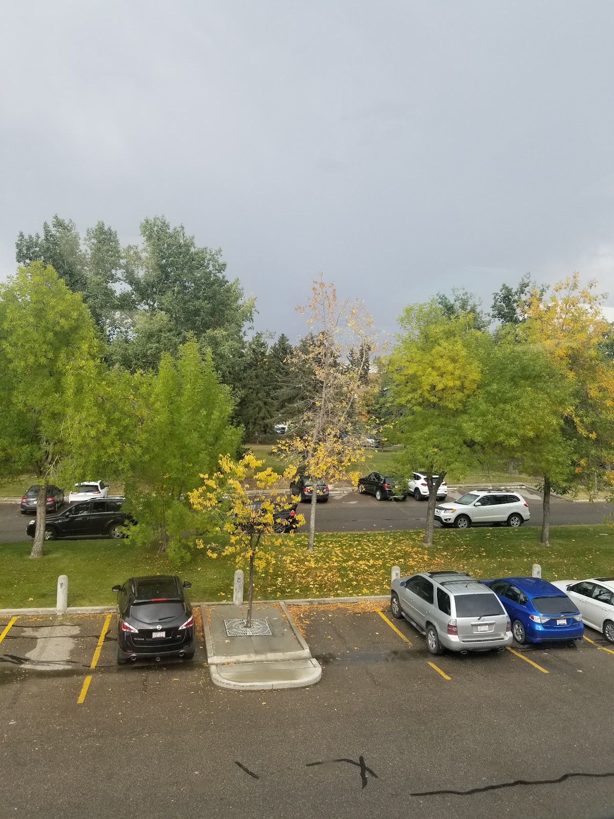 Chartwell Colonel Belcher Retirement Residence